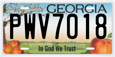 GA license plate PWV7018