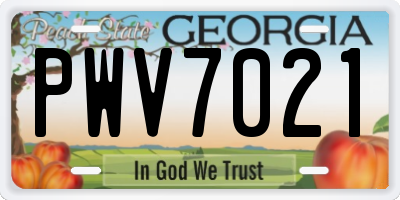 GA license plate PWV7021