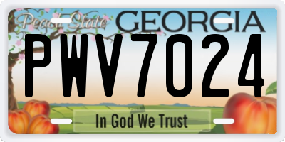 GA license plate PWV7024