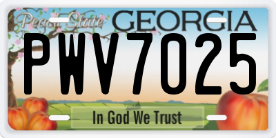 GA license plate PWV7025