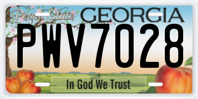 GA license plate PWV7028