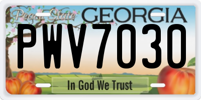 GA license plate PWV7030