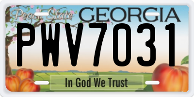 GA license plate PWV7031