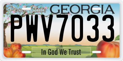 GA license plate PWV7033