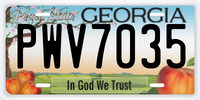 GA license plate PWV7035