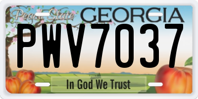 GA license plate PWV7037