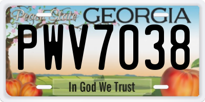 GA license plate PWV7038