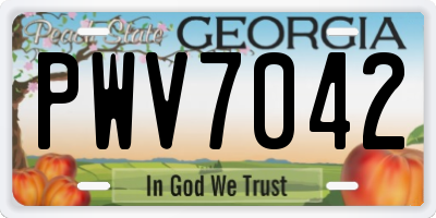 GA license plate PWV7042