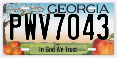 GA license plate PWV7043