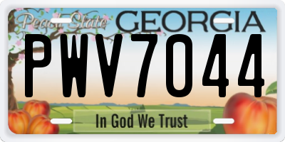 GA license plate PWV7044