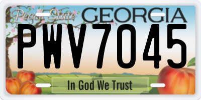 GA license plate PWV7045
