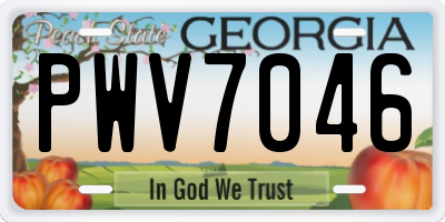 GA license plate PWV7046