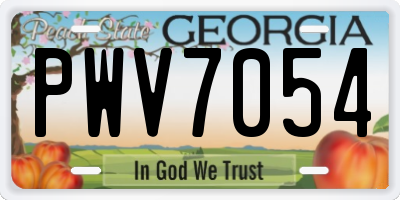 GA license plate PWV7054
