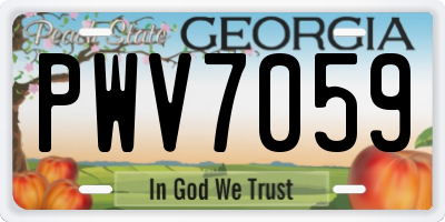 GA license plate PWV7059
