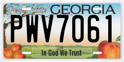 GA license plate PWV7061