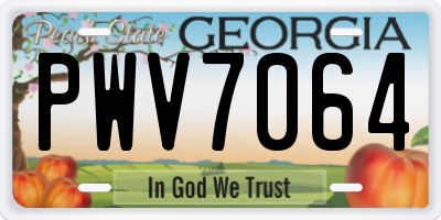 GA license plate PWV7064