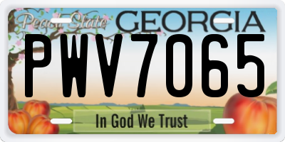 GA license plate PWV7065
