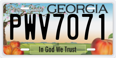 GA license plate PWV7071