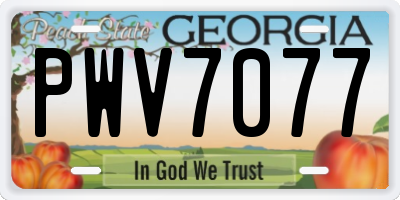 GA license plate PWV7077