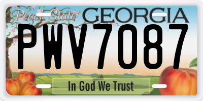 GA license plate PWV7087