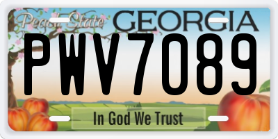 GA license plate PWV7089