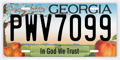 GA license plate PWV7099
