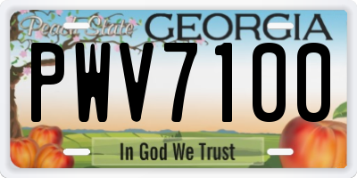 GA license plate PWV7100