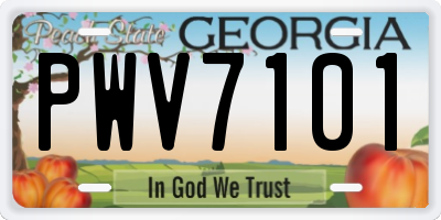 GA license plate PWV7101