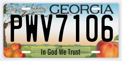 GA license plate PWV7106