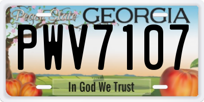 GA license plate PWV7107