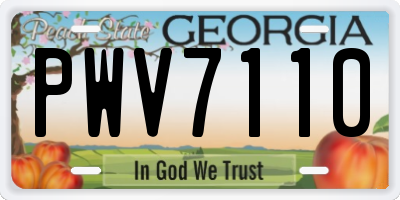 GA license plate PWV7110