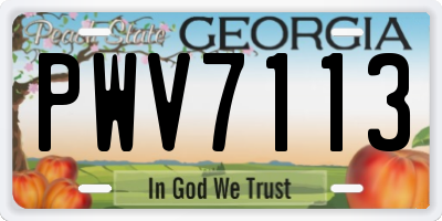 GA license plate PWV7113