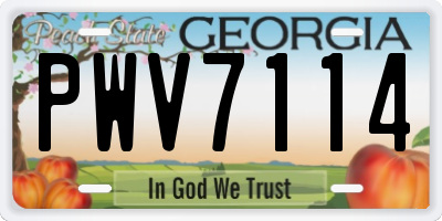 GA license plate PWV7114