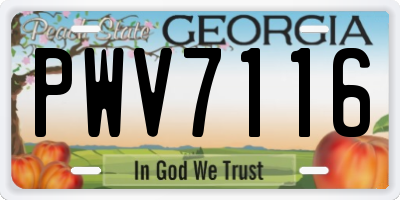 GA license plate PWV7116