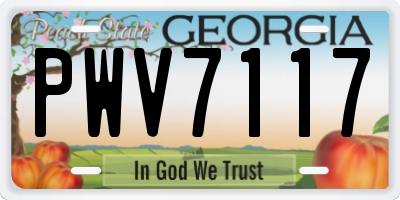 GA license plate PWV7117