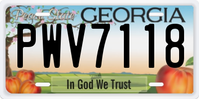 GA license plate PWV7118