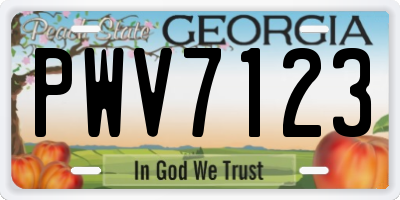 GA license plate PWV7123