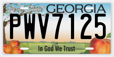 GA license plate PWV7125