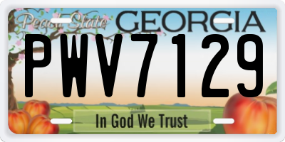 GA license plate PWV7129