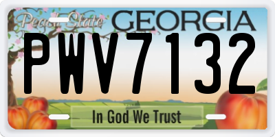 GA license plate PWV7132