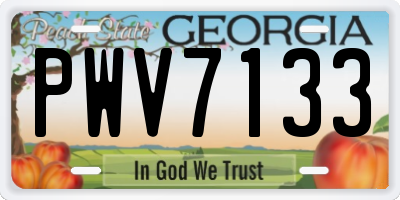 GA license plate PWV7133