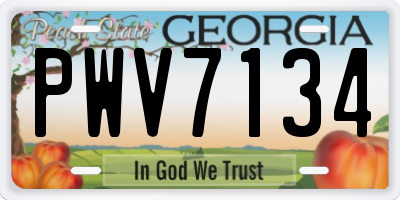 GA license plate PWV7134