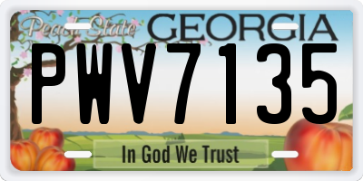 GA license plate PWV7135