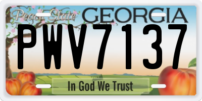 GA license plate PWV7137