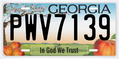 GA license plate PWV7139