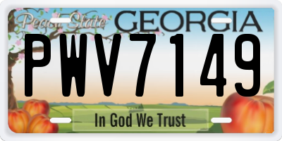 GA license plate PWV7149