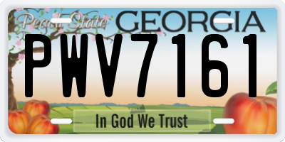 GA license plate PWV7161