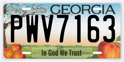 GA license plate PWV7163