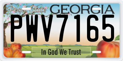 GA license plate PWV7165