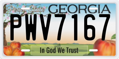 GA license plate PWV7167